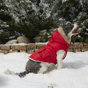 Frisco Mid-Heavyweight Portland Insulated Dog & Cat Parka, Crimson, Small