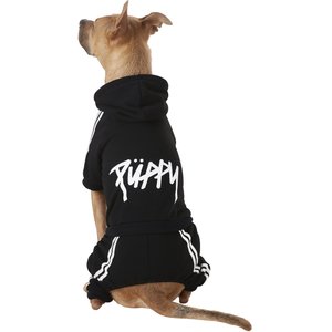 Frisco Püppy Dog & Cat Athletic Tracksuit, Black, X-Large