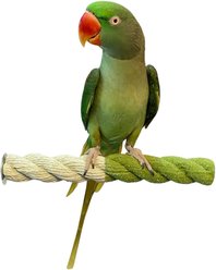 Polly's Pet Products Sand-E-Rope Nail Trimming Bird Perch, Color Varies, Medium slide 2 of 3