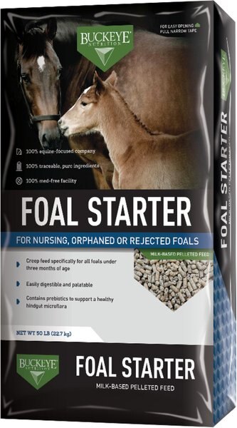 Buckeye Nutrition Foal Starter Milk-Based Pelleted Horse Feed, 50-lb bag slide 1 of 1