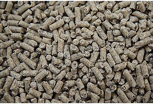 Buckeye Nutrition Foal Starter Milk-Based Pelleted Horse Feed, 50-lb bag