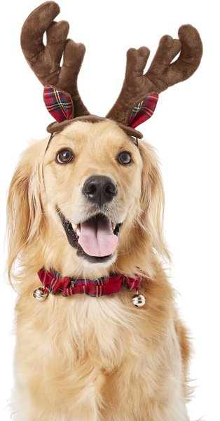 Frisco Holiday Antler Headband & Bell Collar Dog & Cat Costume, X-Large/XX-Large slide 1 of 5