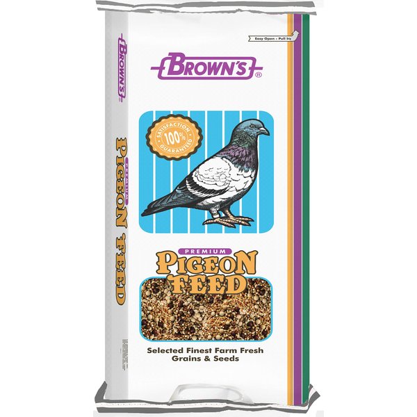 high protein pigeon feed