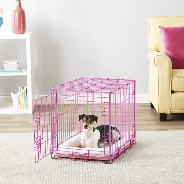 Frisco Fold & Carry Single Door Collapsible Wire Dog Crate, Pink, 24 inch slide 1 of 10