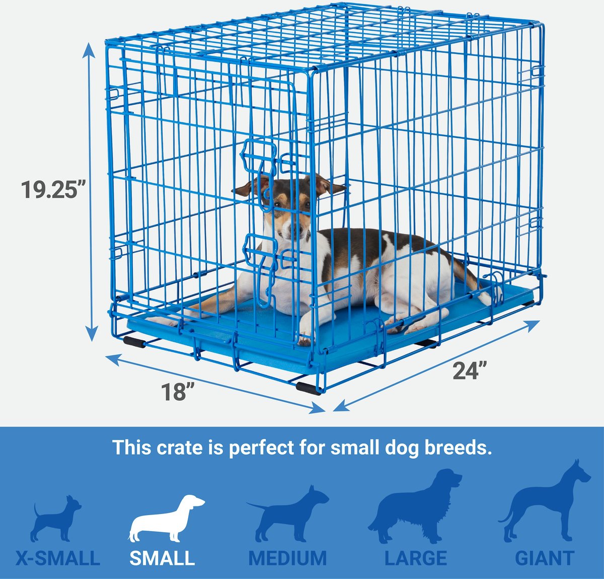 FRISCO Fold & Carry Single Door Collapsible Wire Dog Crate, Blue, Small ...