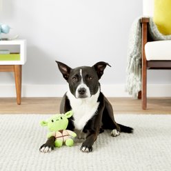 Fetch For Pets Star Wars Yoda Squeaky Plush Dog Toy, 6-in slide 2 of 4