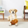 Fetch For Pets Warner Bros Tweety Big Head Plush Squeaky Dog Toy
