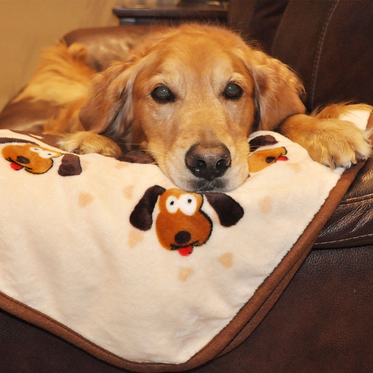 Smart Pet Love Bone Pattern Dog Blanket