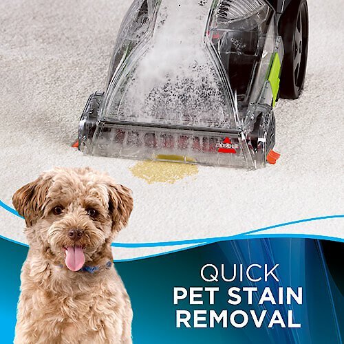 BISSELL TurboClean PowerBrush Pet Carpet Cleaner, Titanium, Large