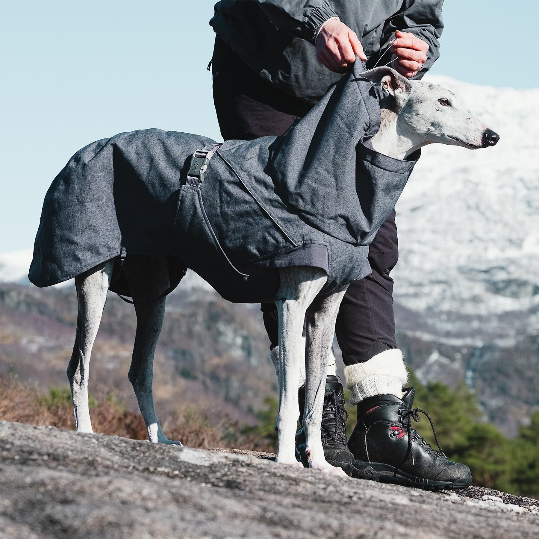Hurtta Expedition Insulated Dog Parka, Blackberry, 10-in