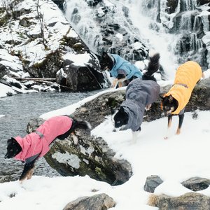 Hurtta Expedition Insulated Dog Parka, Blackberry, 24-in