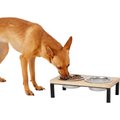 Frisco Wooden Elevated Dog & Cat Diner, 2 Cup