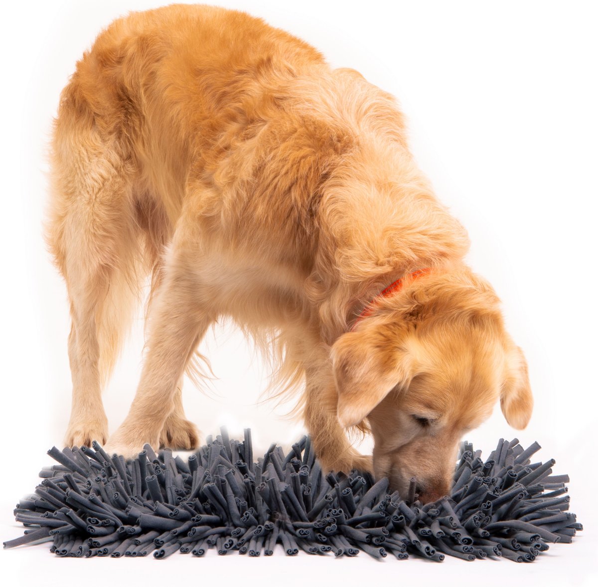 Dog treat hiding outlet mat