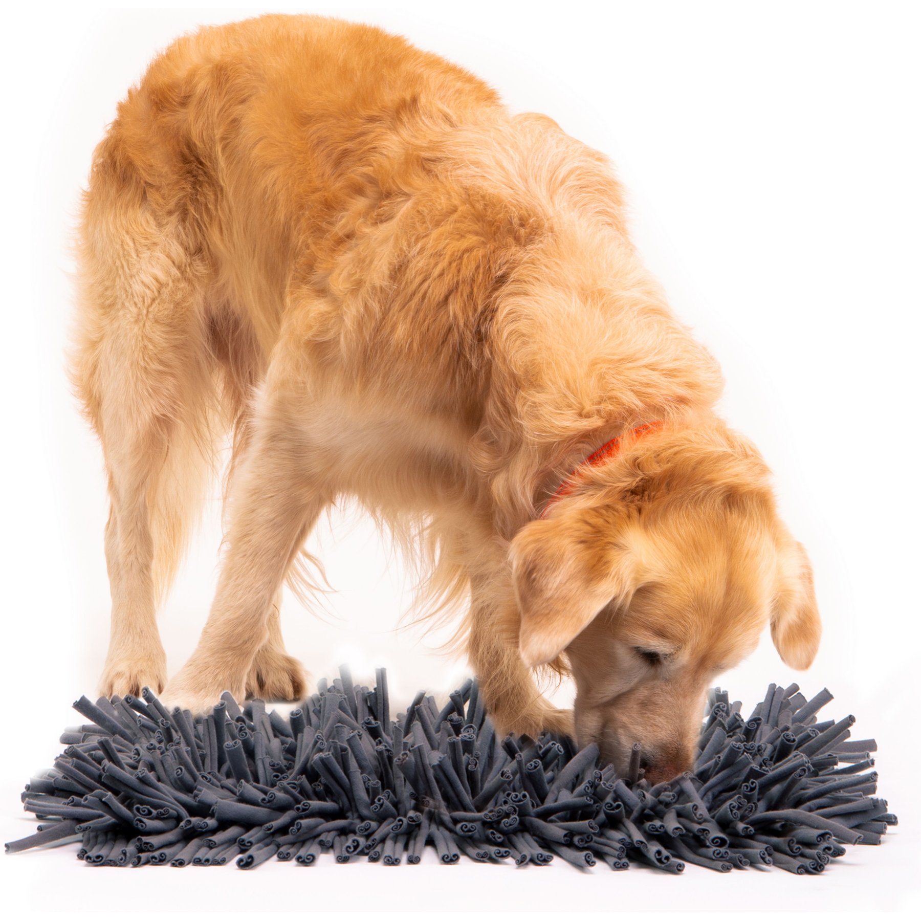 Puppies love snuffle mats! The work-to-eat toys our dog trainers