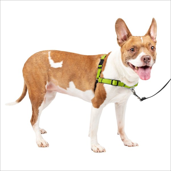 PetSafe Deluxe Easy Walk Nylon Reflective No Pull Dog Harness, Apple, Medium: 23 to 33-in chest slide 1 of 10