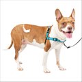 Chewy V Harness & Leash Set – Barks First Avenue