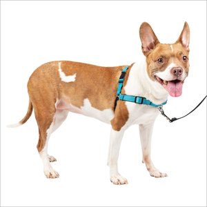 PetSafe Deluxe Easy Walk Nylon Reflective No Pull Dog Harness, Ocean, Medium: 23 to 33-in chest