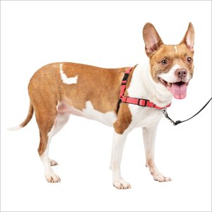 PetSafe Deluxe Easy Walk Nylon Reflective No Pull Dog Harness, Rose, Medium: 23 to 33-in chest