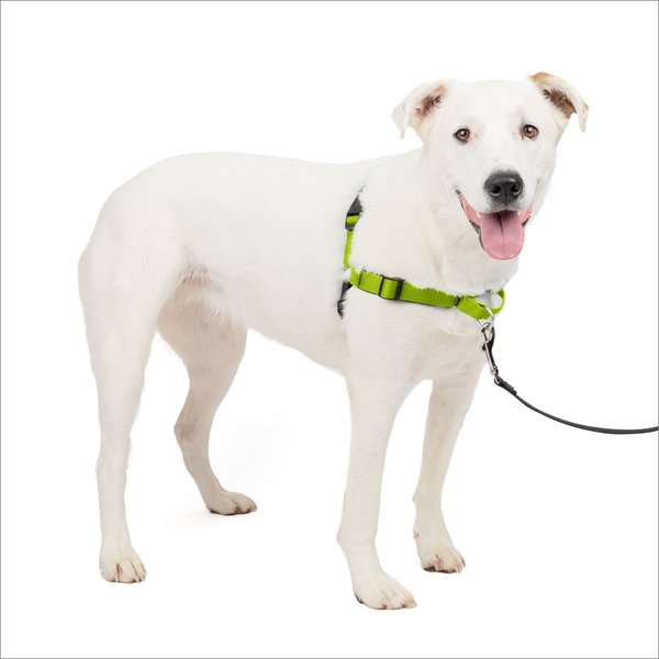 PetSafe Deluxe Easy Walk Nylon Reflective No Pull Dog Harness, Apple, Medium/Large: 24.5 to 34-in chest slide 1 of 10