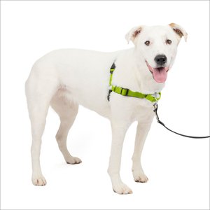 PetSafe Deluxe Easy Walk Nylon Reflective No Pull Dog Harness, Apple, Medium/Large: 24.5 to 34-in chest