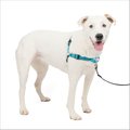 PetSafe Deluxe Easy Walk Nylon Reflective No Pull Dog Harness, Ocean, Medium/Large: 24.5 to 34-in chest