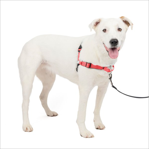 PetSafe Deluxe Easy Walk Nylon Reflective No Pull Dog Harness, Rose, Medium/Large: 24.5 to 34-in chest slide 1 of 10