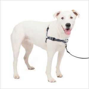 PetSafe Deluxe Easy Walk Nylon Reflective No Pull Dog Harness, Steel, Medium/Large: 24.5 to 34-in chest