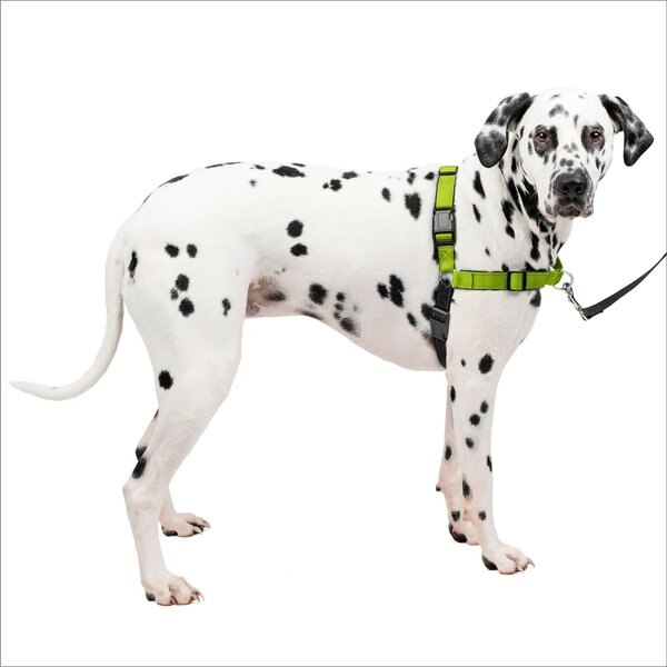 PetSafe Deluxe Easy Walk Nylon Reflective No Pull Dog Harness, Apple, Large: 27 to 40-in chest slide 1 of 10