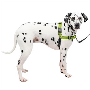 PetSafe Deluxe Easy Walk Nylon Reflective No Pull Dog Harness, Apple, Large: 27 to 40-in chest