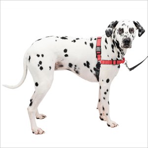 PetSafe Deluxe Easy Walk Nylon Reflective No Pull Dog Harness, Rose, Large: 27 to 40-in chest