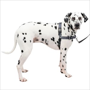 PetSafe Deluxe Easy Walk Nylon Reflective No Pull Dog Harness, Steel, Large: 27 to 40-in chest