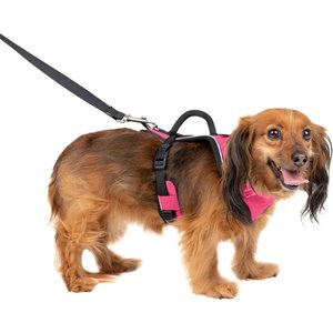PetSafe EasySport Nylon Reflective Back Clip Dog Harness, Pink, X-Small: 16 to 22-in chest