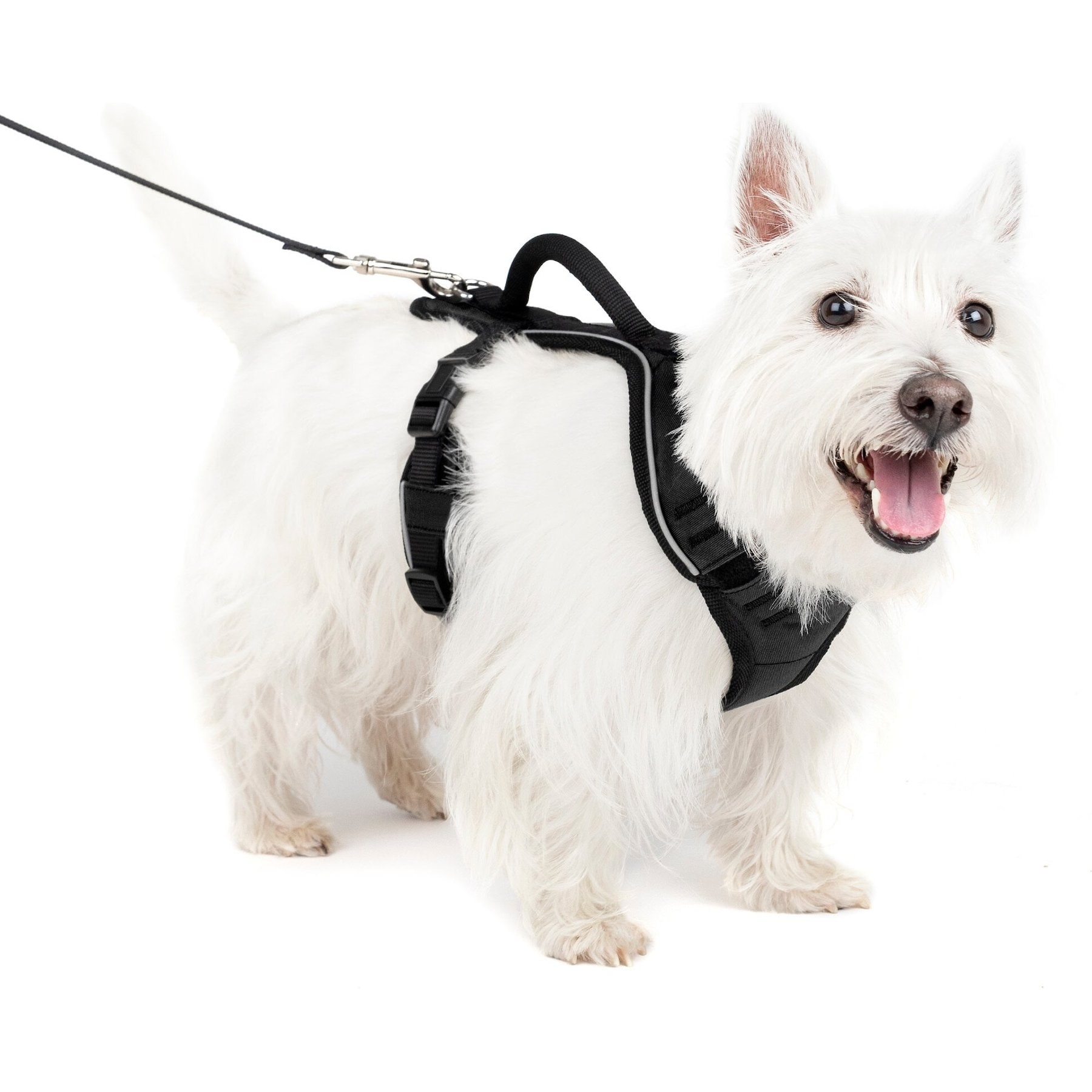 PetSafe PetSafe EasySport Nylon Reflective Back Clip Dog Harness, Black, Small: 21 to 27-in chest