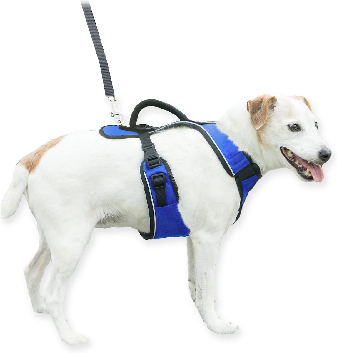 Petsafe sport clearance harness