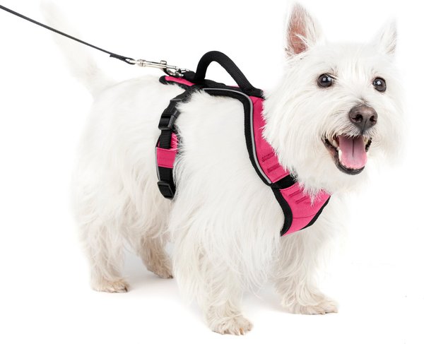 PetSafe EasySport Nylon Reflective Back Clip Dog Harness, Pink, Small: 21 to 27-in chest slide 1 of 11