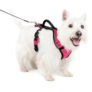 PetSafe EasySport Nylon Reflective Back Clip Dog Harness, Pink, Small: 21 to 27-in chest