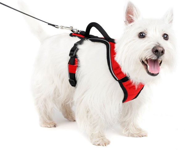 PetSafe EasySport Nylon Reflective Back Clip Dog Harness, Red, Small: 21 to 27-in chest slide 1 of 11