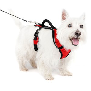 PetSafe EasySport Nylon Reflective Back Clip Dog Harness, Red, Small: 21 to 27-in chest