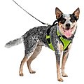 PetSafe EasySport Nylon Reflective Back Clip Dog Harness, Apple, Medium: 26 to 32-in chest