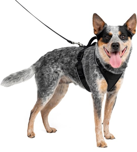 PetSafe EasySport Nylon Reflective Back Clip Dog Harness, Black, Medium: 26 to 32-in chest slide 1 of 11