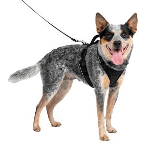 PetSafe EasySport Nylon Reflective Back Clip Dog Harness, Black, Medium: 26 to 32-in chest