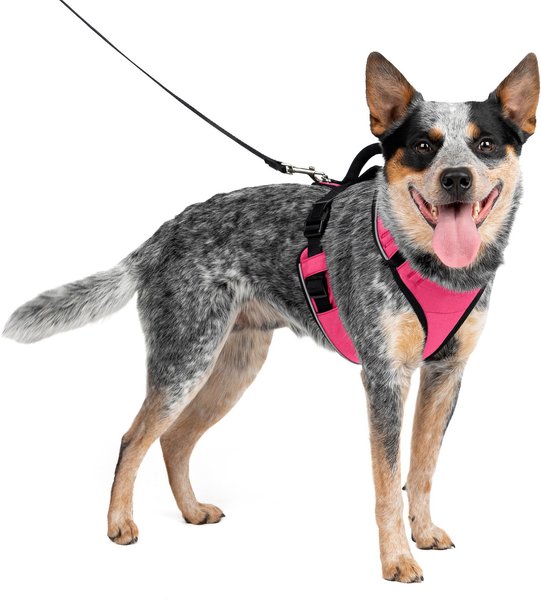 PetSafe EasySport Nylon Reflective Back Clip Dog Harness, Pink, Medium: 26 to 32-in chest slide 1 of 10