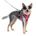 PetSafe EasySport Nylon Reflective Back Clip Dog Harness, Pink, Medium: 26 to 32-in chest