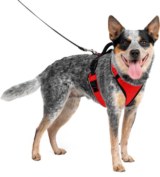 PetSafe EasySport Nylon Reflective Back Clip Dog Harness, Red, Medium: 26 to 32-in chest slide 1 of 11