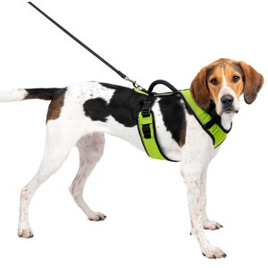 PetSafe EasySport Nylon Reflective Back Clip Dog Harness, Apple, Large: 29 to 43-in chest