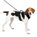 PetSafe EasySport Nylon Reflective Back Clip Dog Harness, Black, Large: 29 to 43-in chest