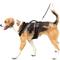 Show in main carousel: PetSafe EasySport Nylon Reflective Back Clip Dog Harness, Black, Large: 29 to 43-in chest slide 7 of 12