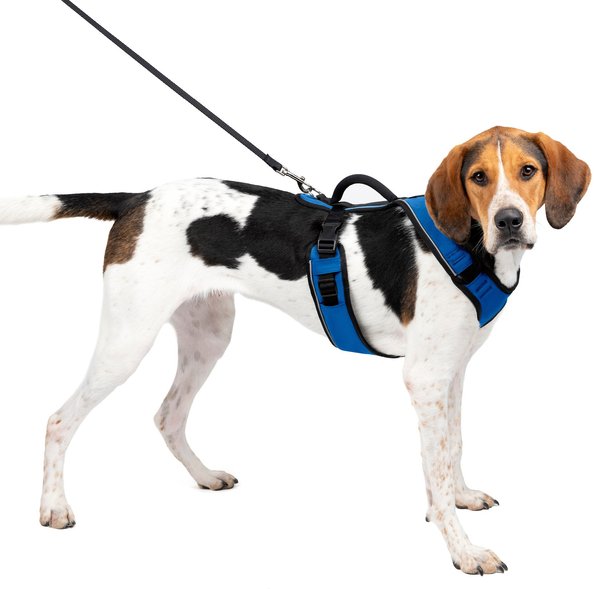 PetSafe EasySport Nylon Reflective Back Clip Dog Harness, Blue, Large: 29 to 43-in chest slide 1 of 11
