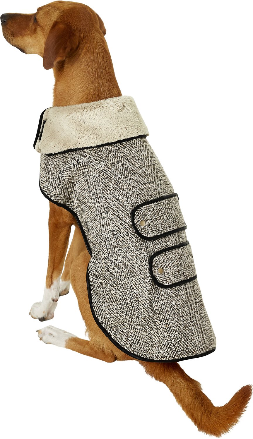 Cat Wearing Winter Cloth  Sphynx Cat Winter Coat, Reversible Fleece