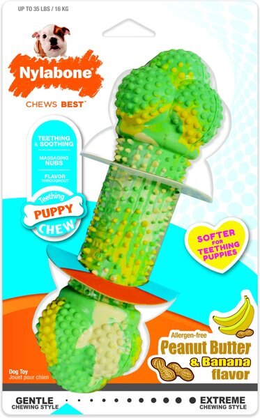 Nylabone Puppy Chew Double Action Peanut Butter & Banana Flavored Puppy Chew Toy, Wolf slide 1 of 11
